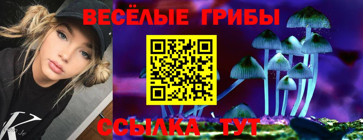 Псилоцибиновые грибы Cubensis  купить наркоту  Вход с VPN  Большой Камень  Галлюциногенные грибы GOLDEN TEACHER 